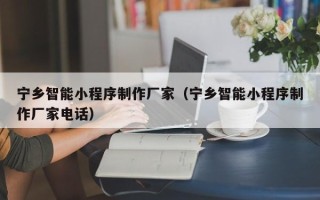 通辽宁乡智能小程序制作厂家（宁乡智能小程序制作厂家电话）